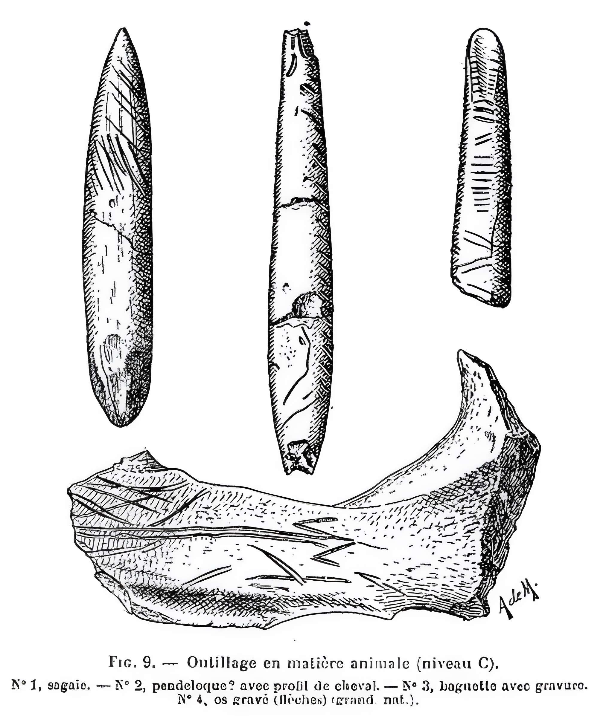 Grottes de la vallée de la Save à Lespugue