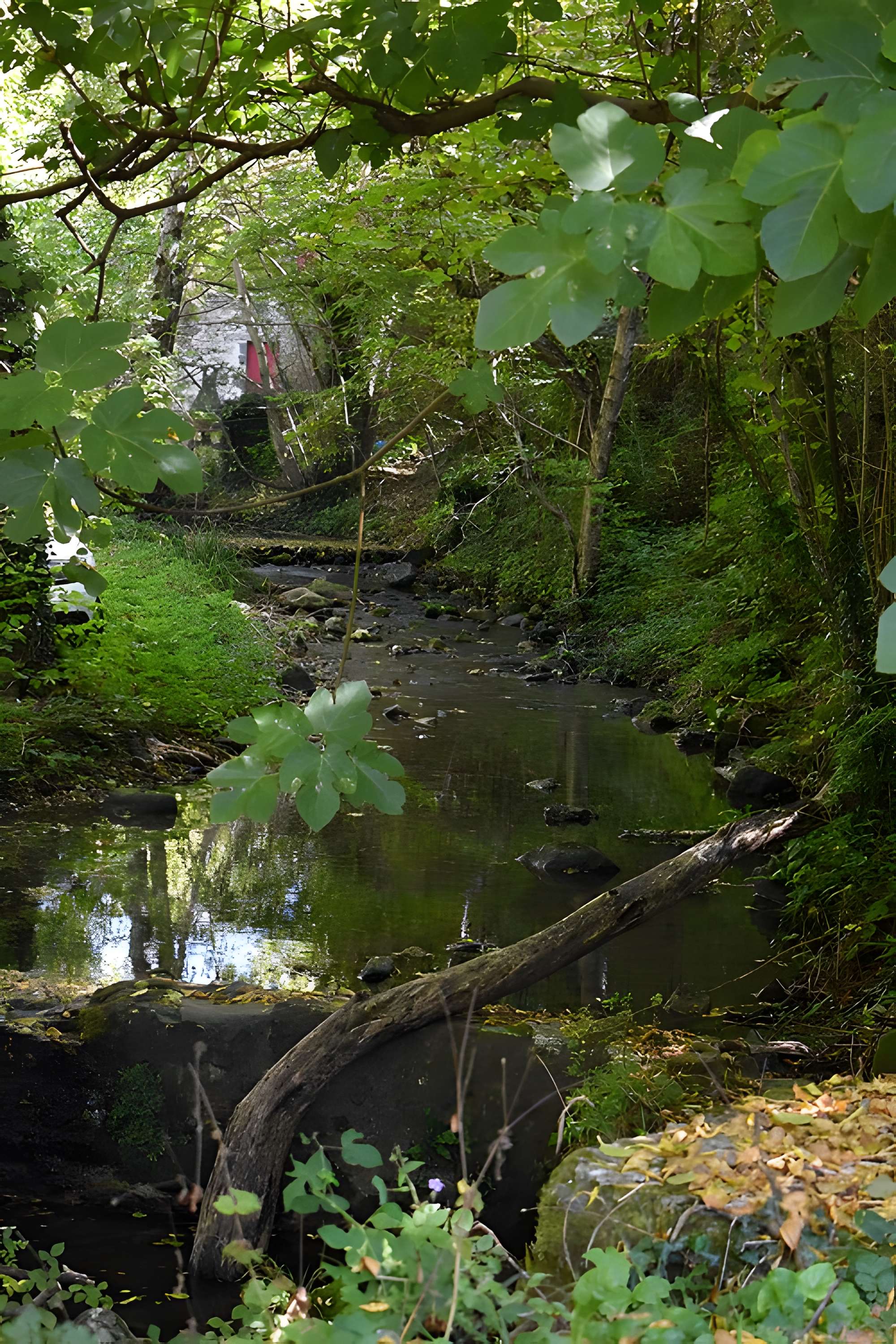 Chapelle Notre-Dame-de-Nize de Lunas
