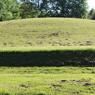 Habitat du premier âge féodal de Jasseron