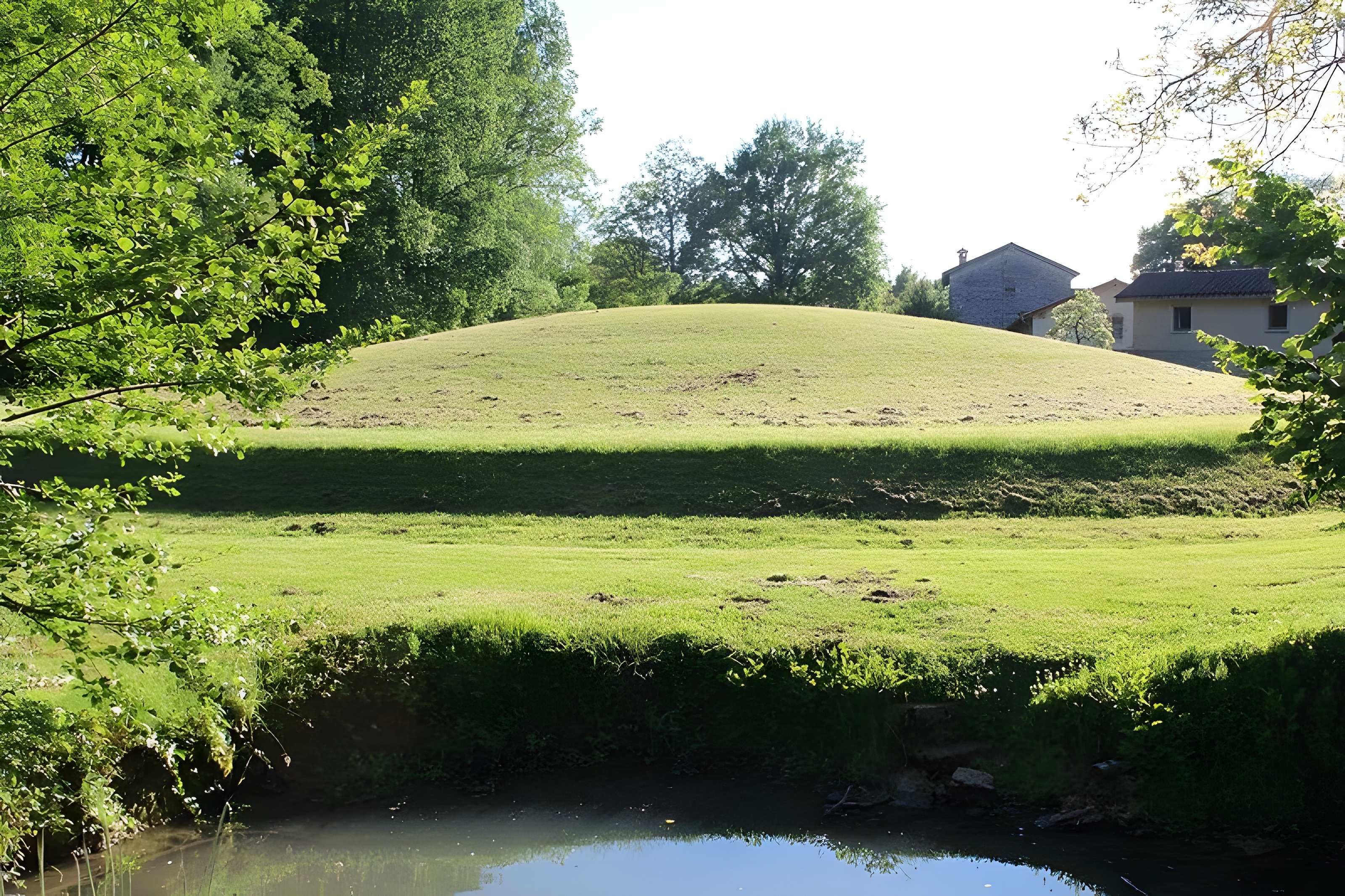 Habitat du premier âge féodal de Jasseron 