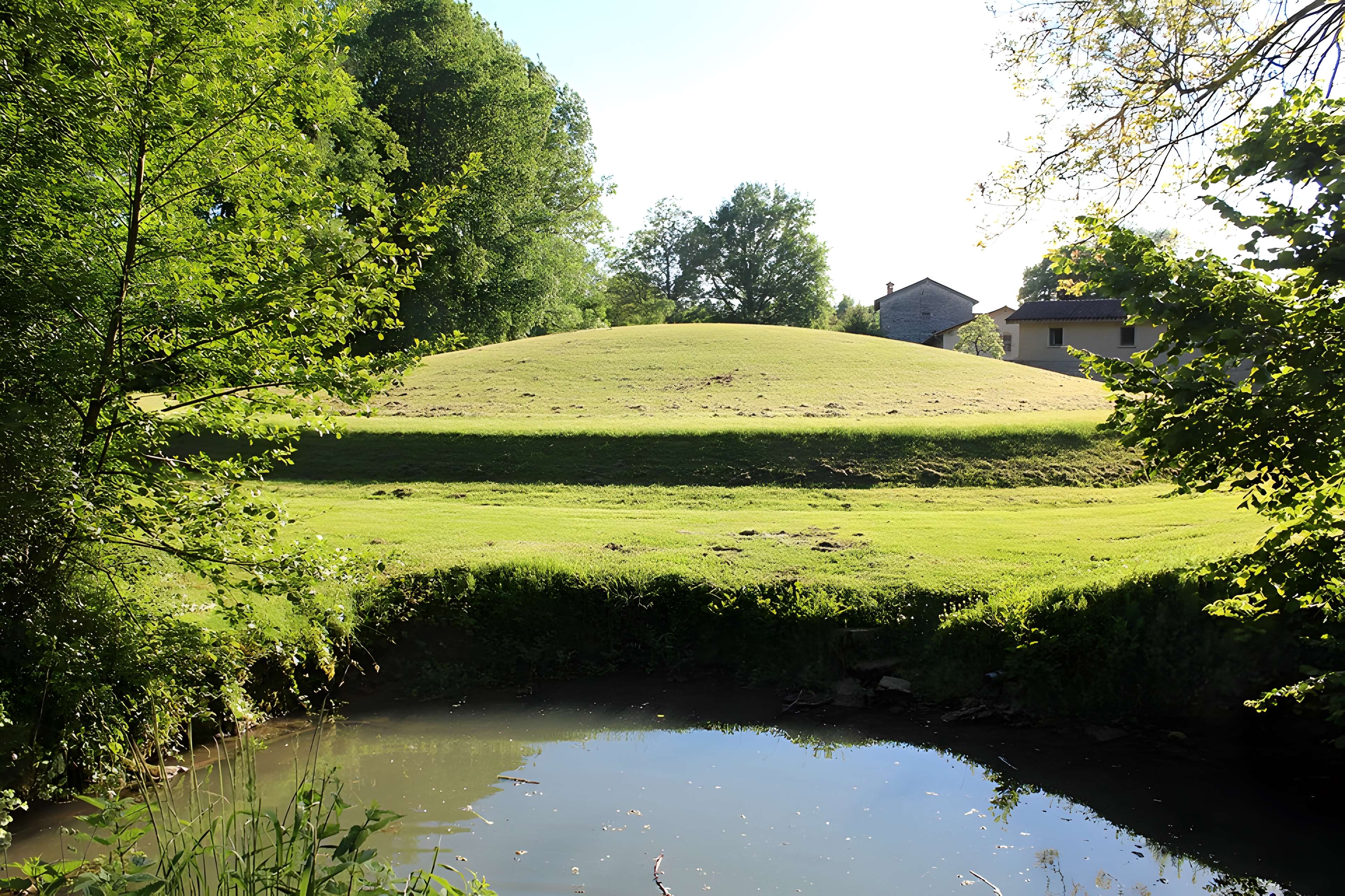 Habitat du premier âge féodal de Jasseron