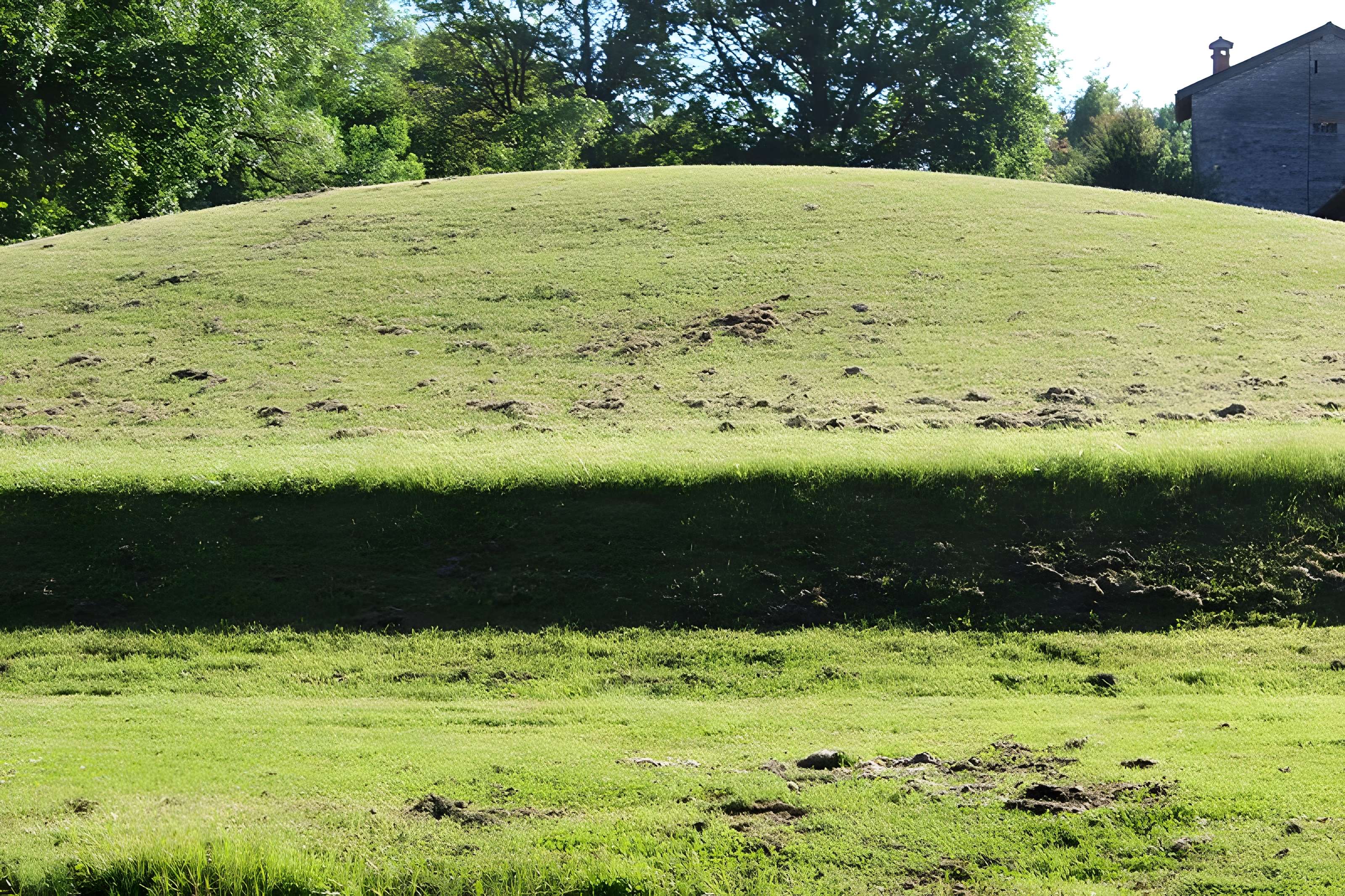 Habitat du premier âge féodal de Jasseron