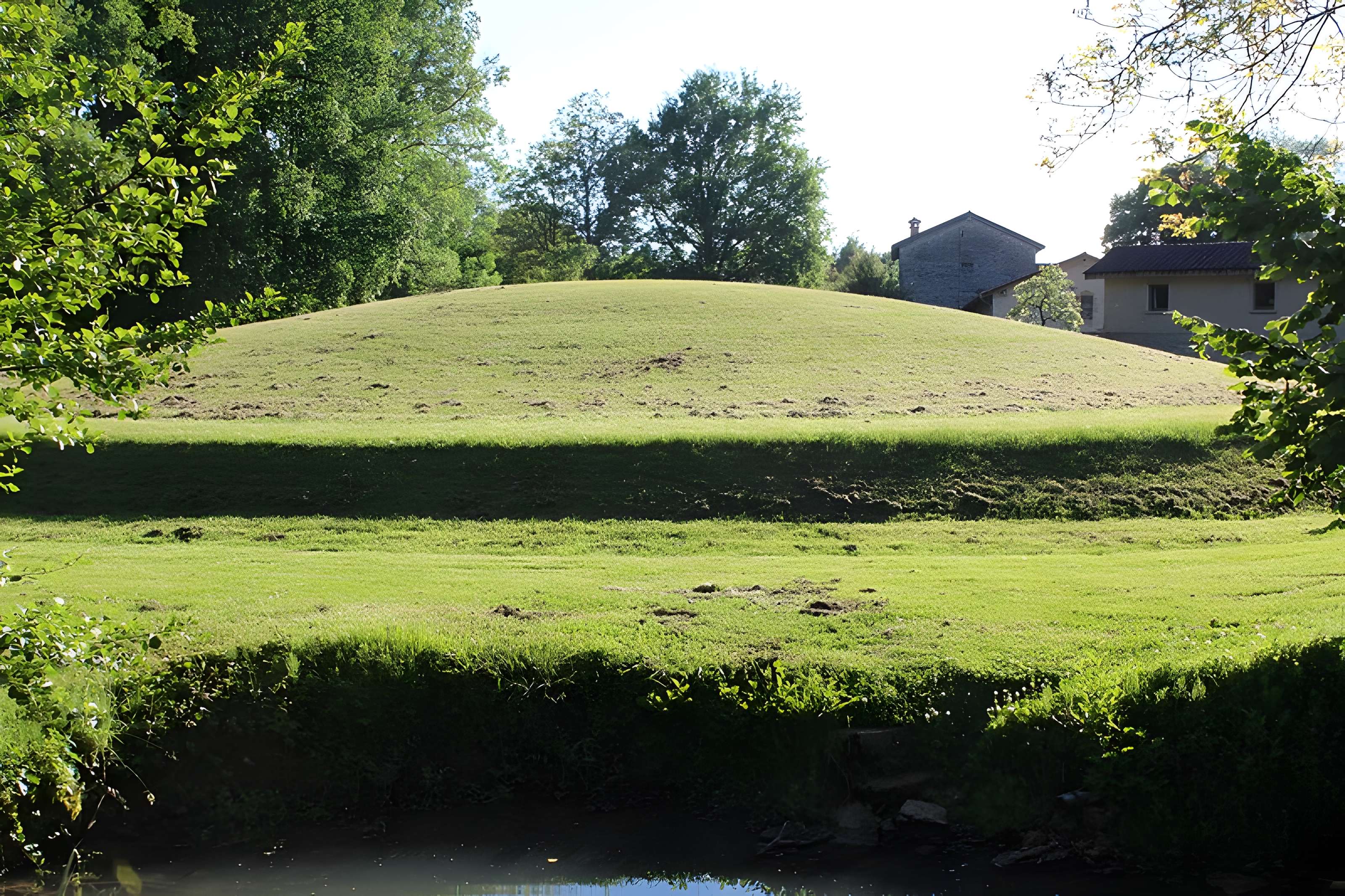 Habitat du premier âge féodal de Jasseron