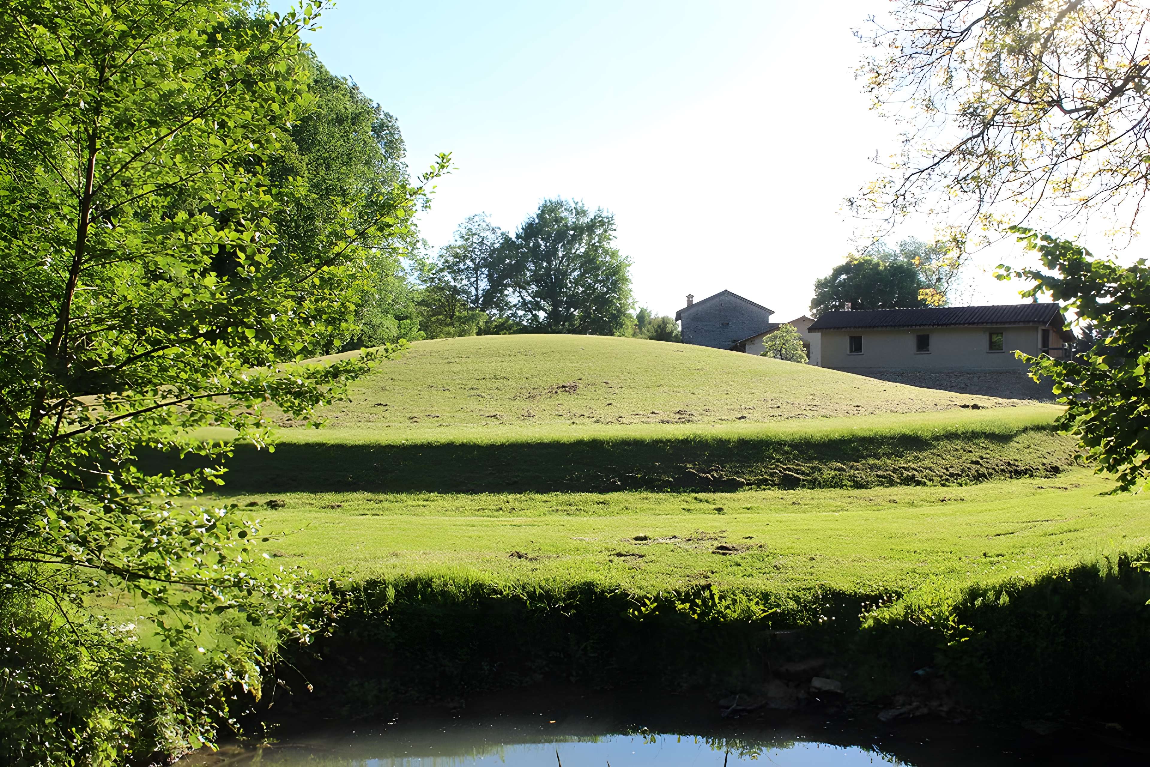 Habitat du premier âge féodal de Jasseron