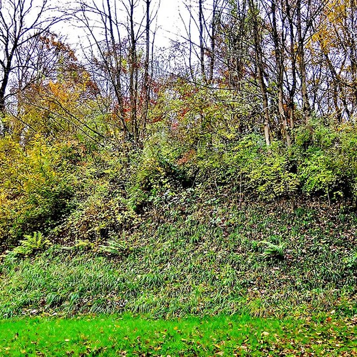 Photo de Habitat fortifié de Bart