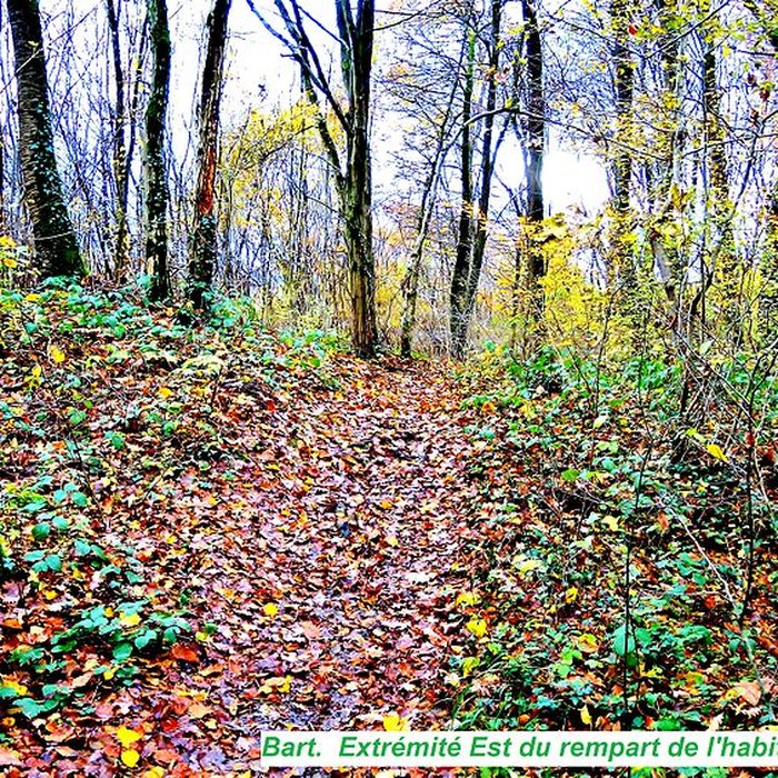 Photo de Habitat fortifié de Bart