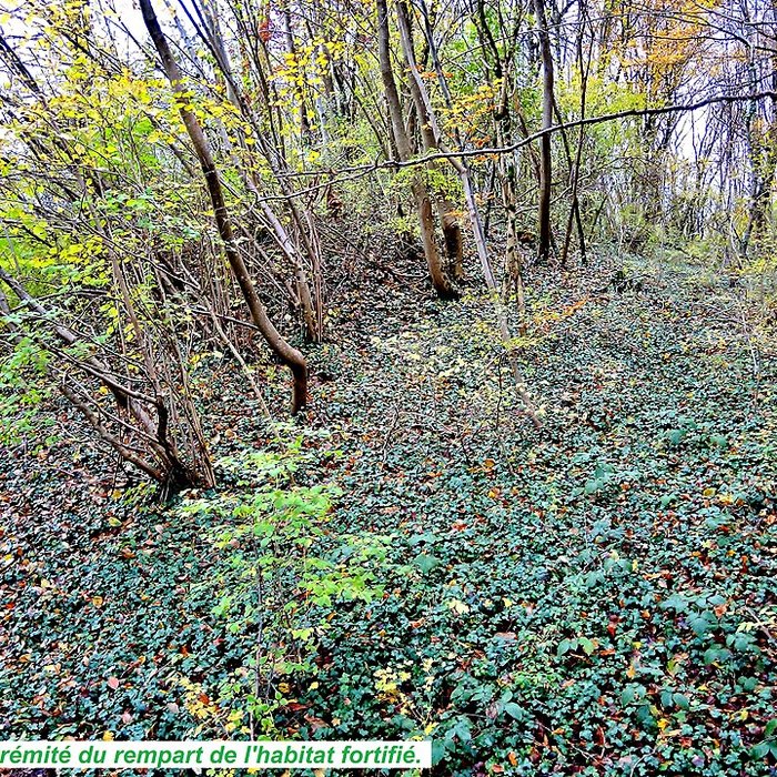 Photo de Habitat fortifié de Bart