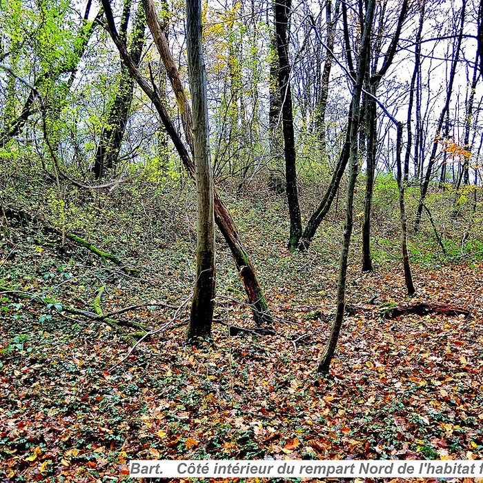 Photo de Habitat fortifié de Bart