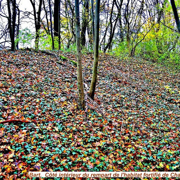 Photo de Habitat fortifié de Bart