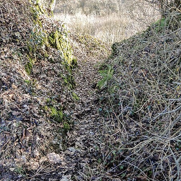 Photo de Habitat fortifié de Bart