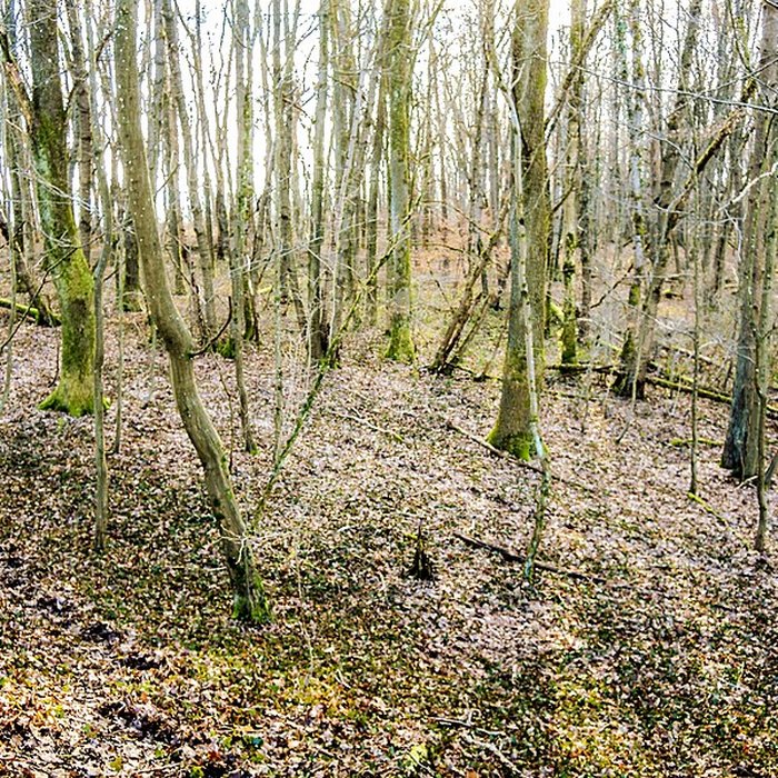 Photo de Habitat fortifié de Bart