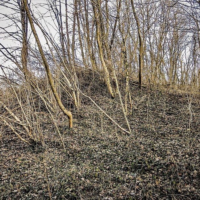 Photo de Habitat fortifié de Bart