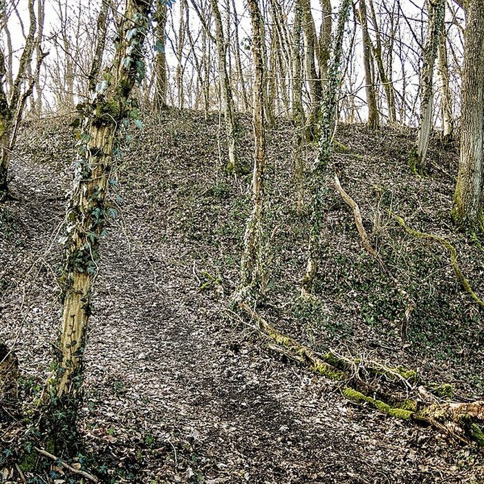 Photo de Habitat fortifié de Bart