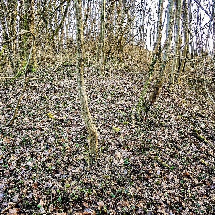 Photo de Habitat fortifié de Bart