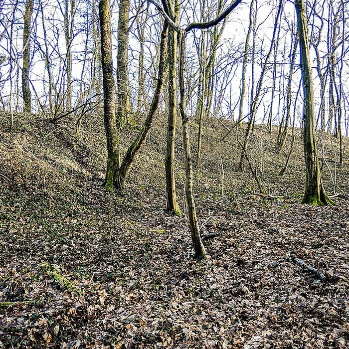 Photo de Habitat fortifié de Bart