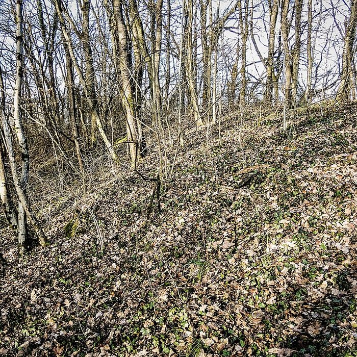 Photo de Habitat fortifié de Bart