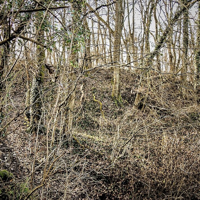 Photo de Habitat fortifié de Bart