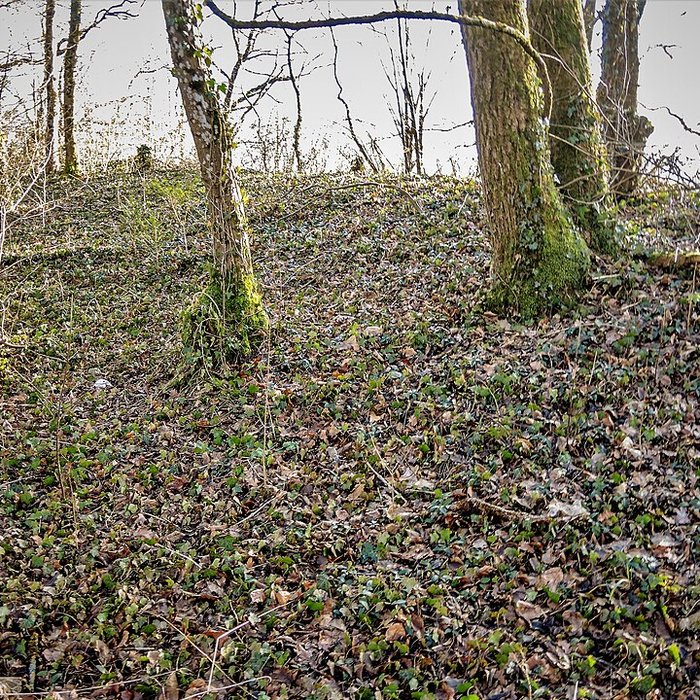 Photo de Habitat fortifié de Bart