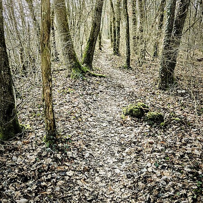 Photo de Habitat fortifié de Bart