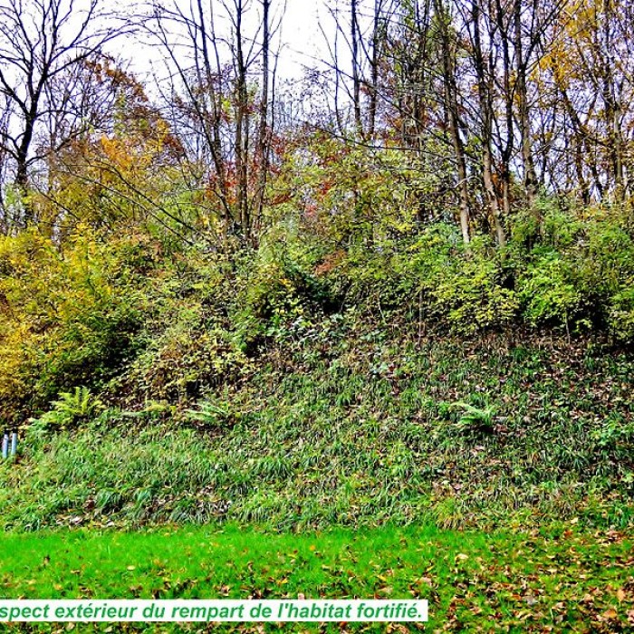 Photo de Habitat fortifié de Bart