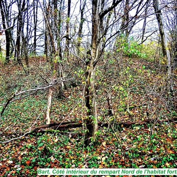 Habitat fortifié de Bart