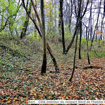 Habitat fortifié de Bart