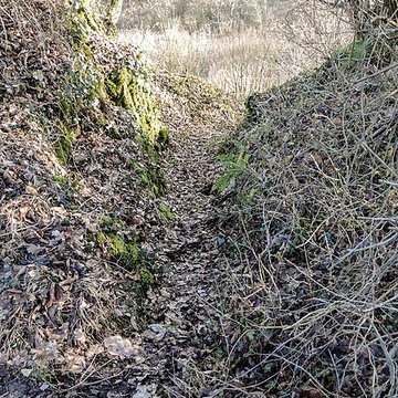 Habitat fortifié de Bart