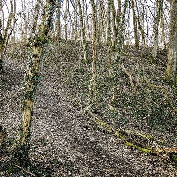 Habitat fortifié de Bart