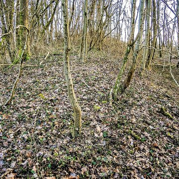 Habitat fortifié de Bart