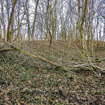 Habitat fortifié de Bart