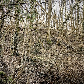 Habitat fortifié de Bart