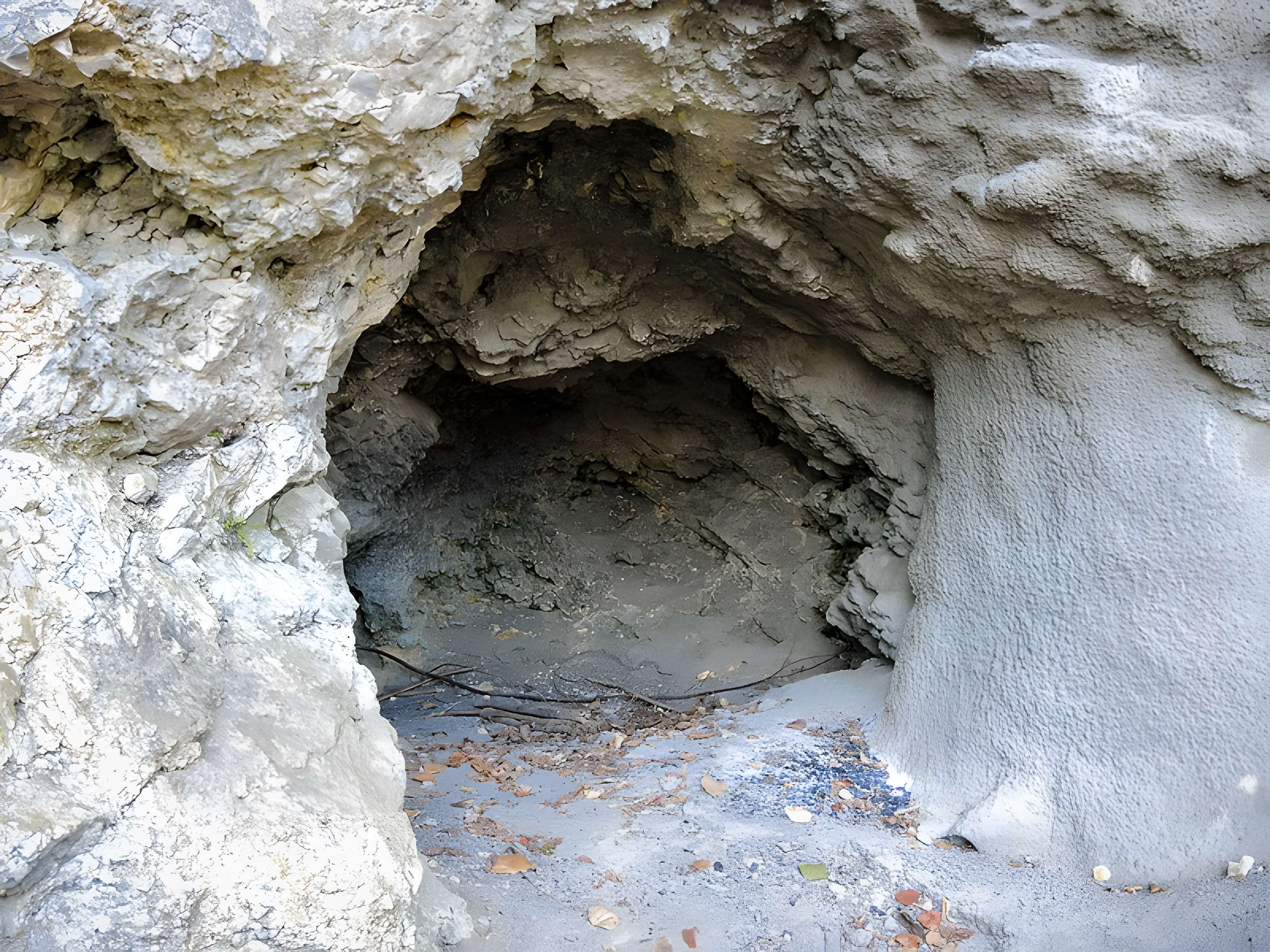 Habitat fortifié de Bart