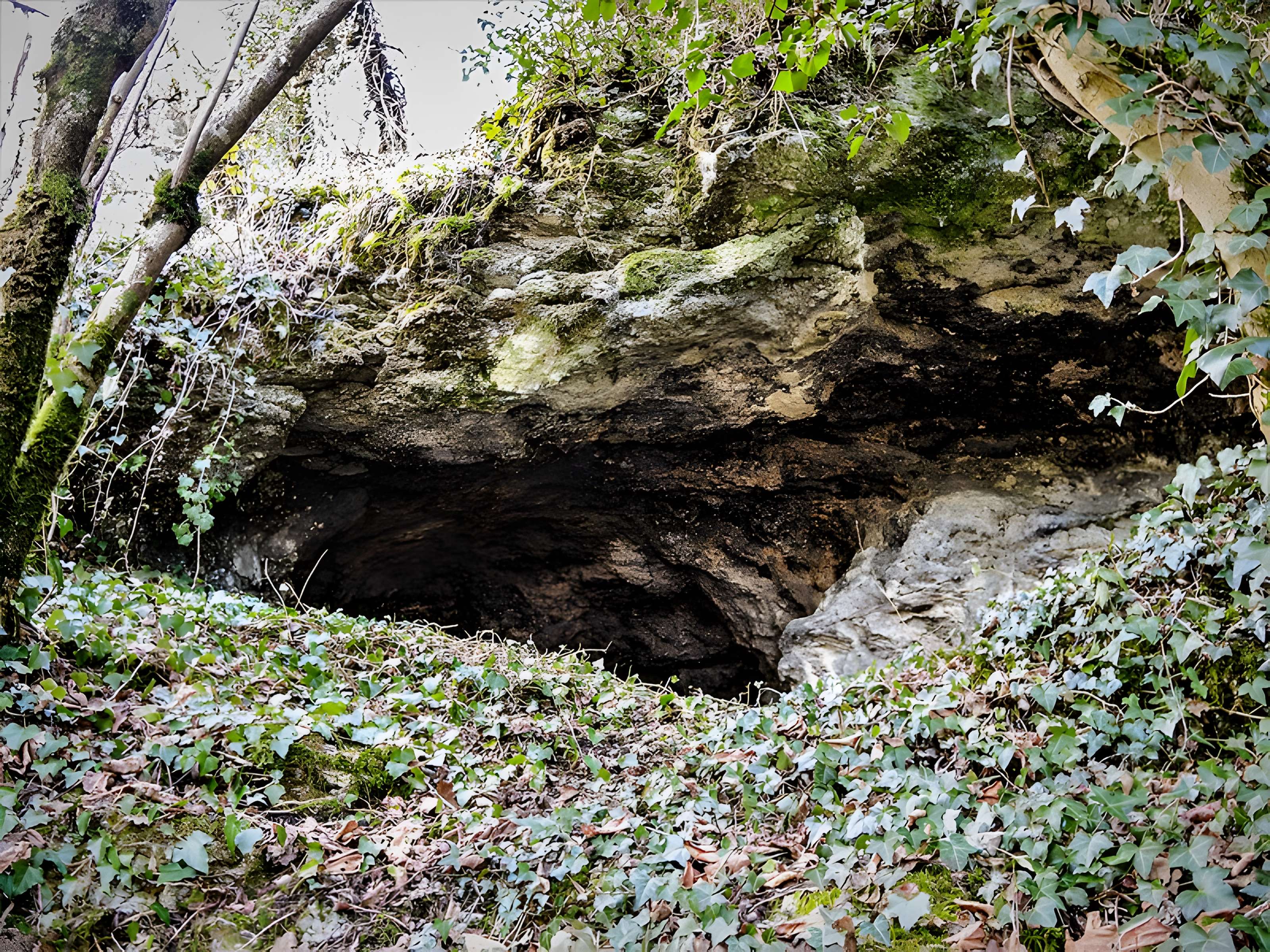 Habitat fortifié de Bart