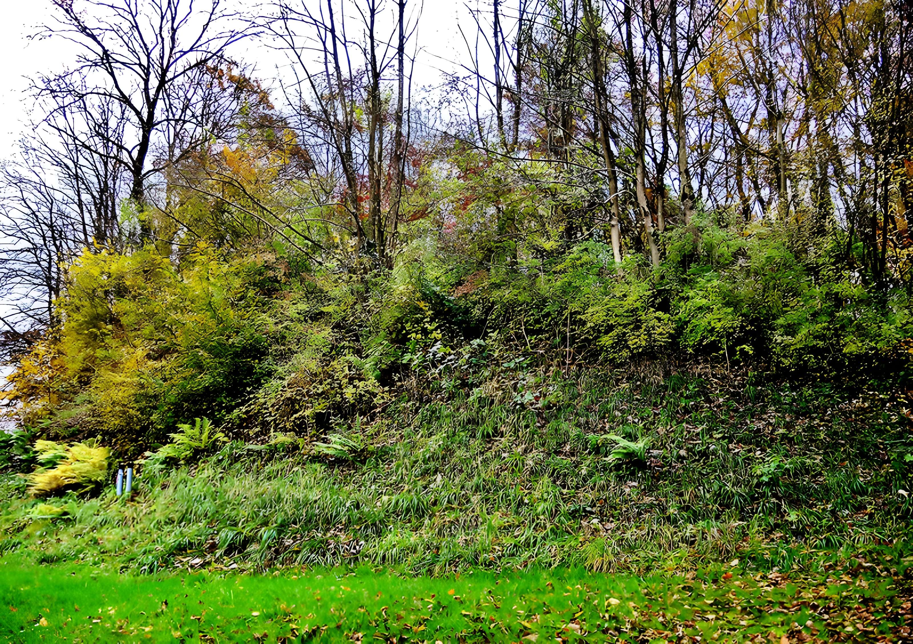 Habitat fortifié de Bart