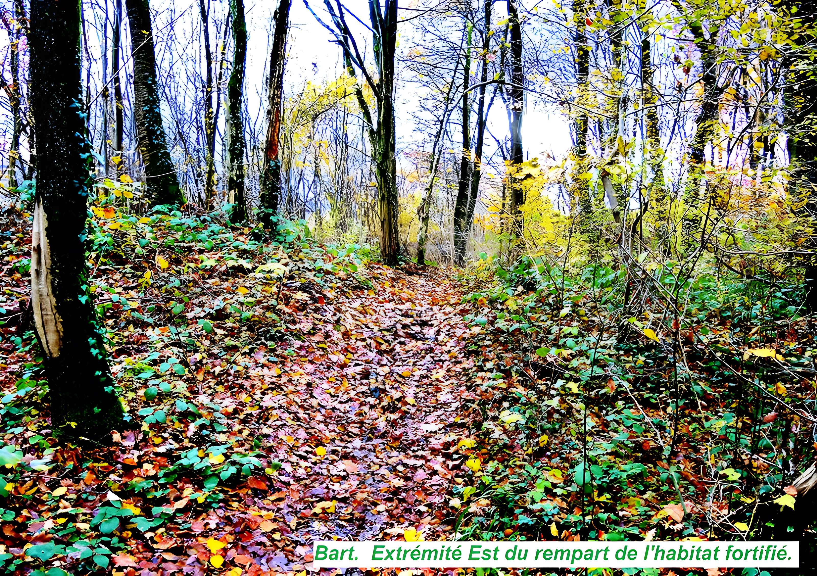 Habitat fortifié de Bart
