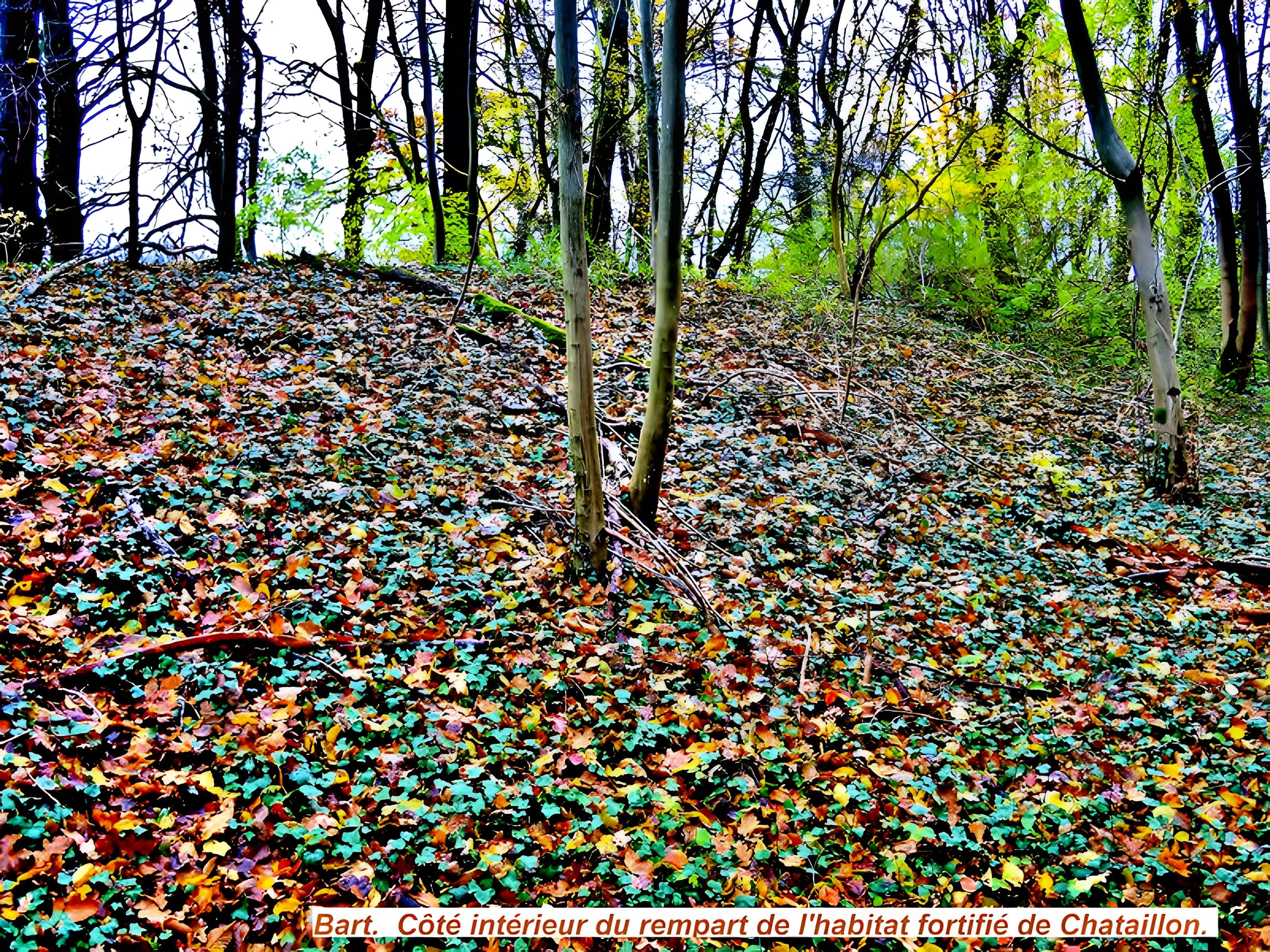 Habitat fortifié de Bart