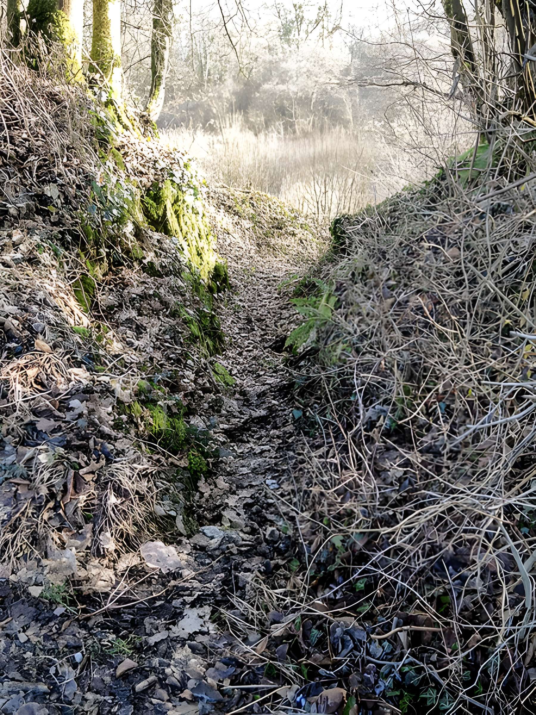 Habitat fortifié de Bart