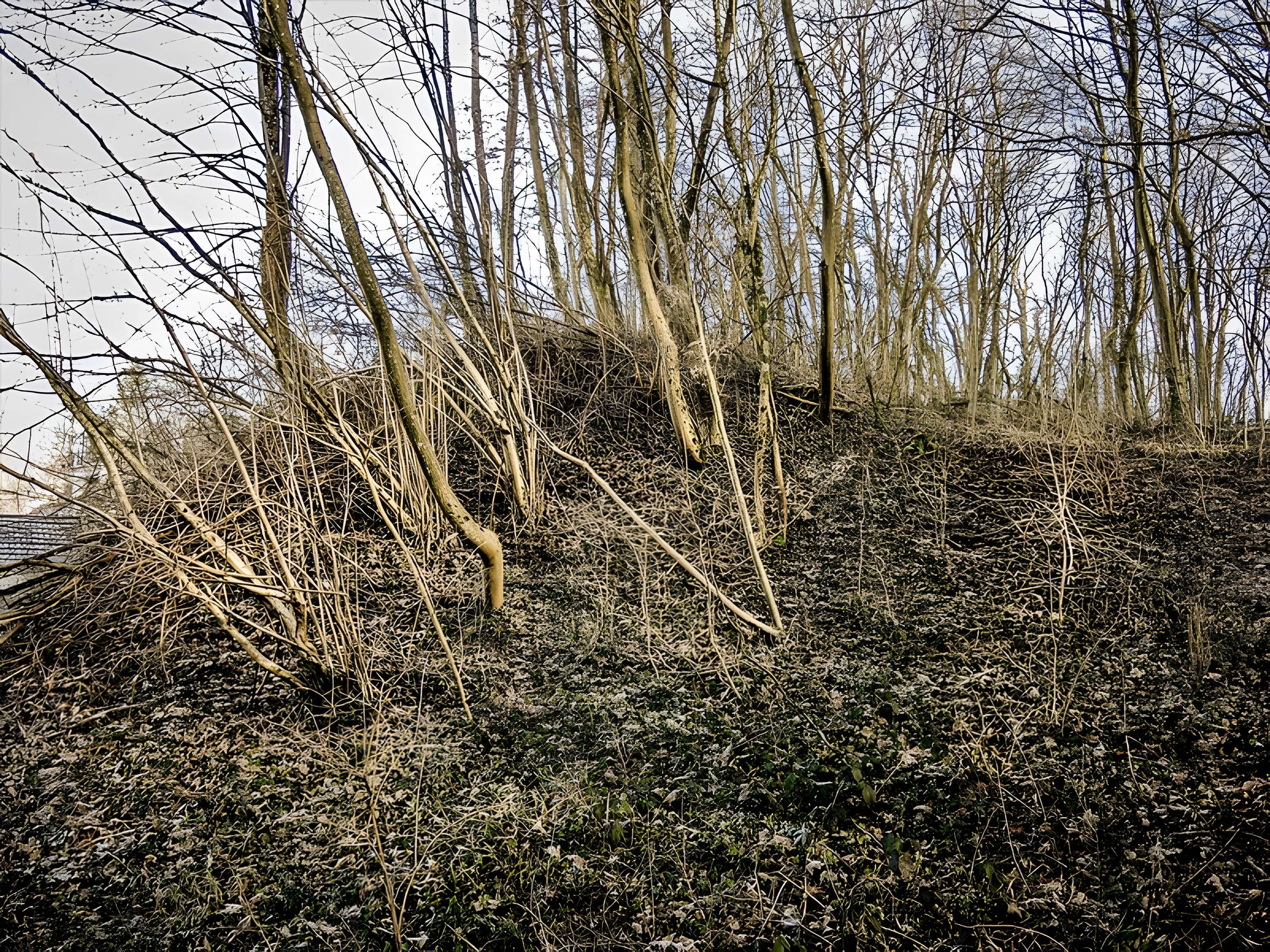 Habitat fortifié de Bart