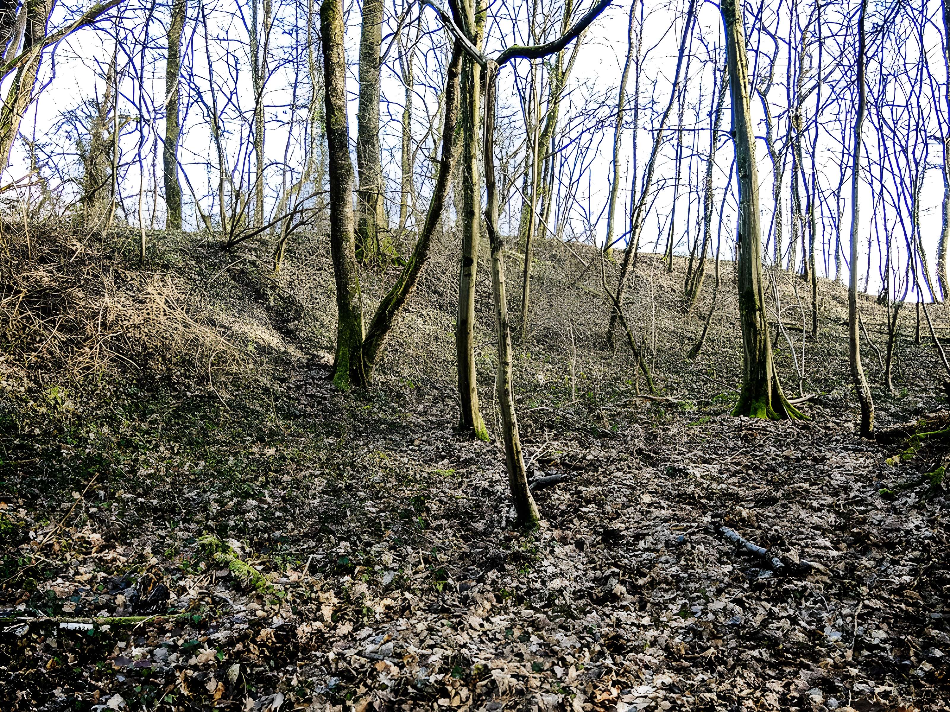 Habitat fortifié de Bart