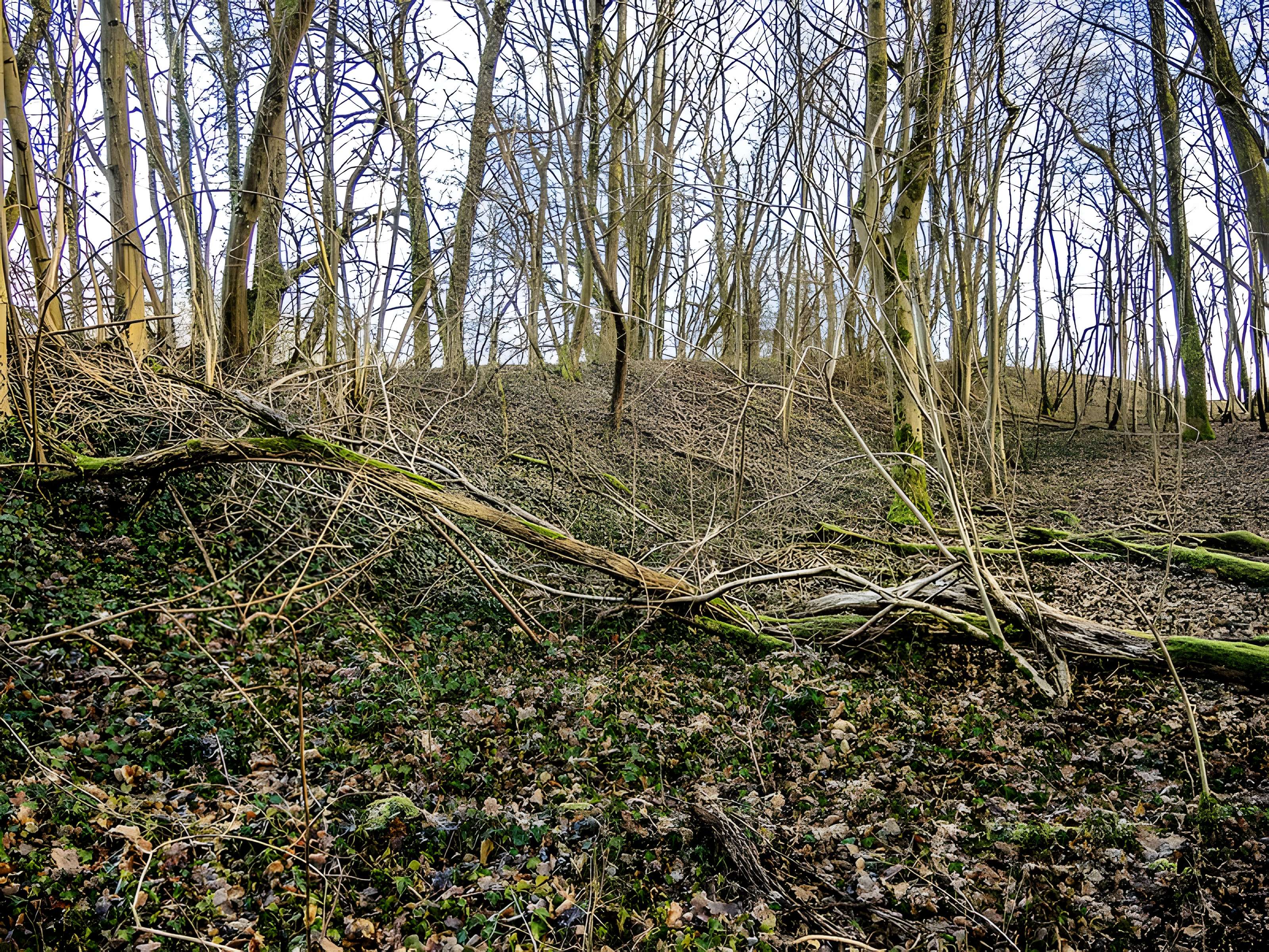 Habitat fortifié de Bart