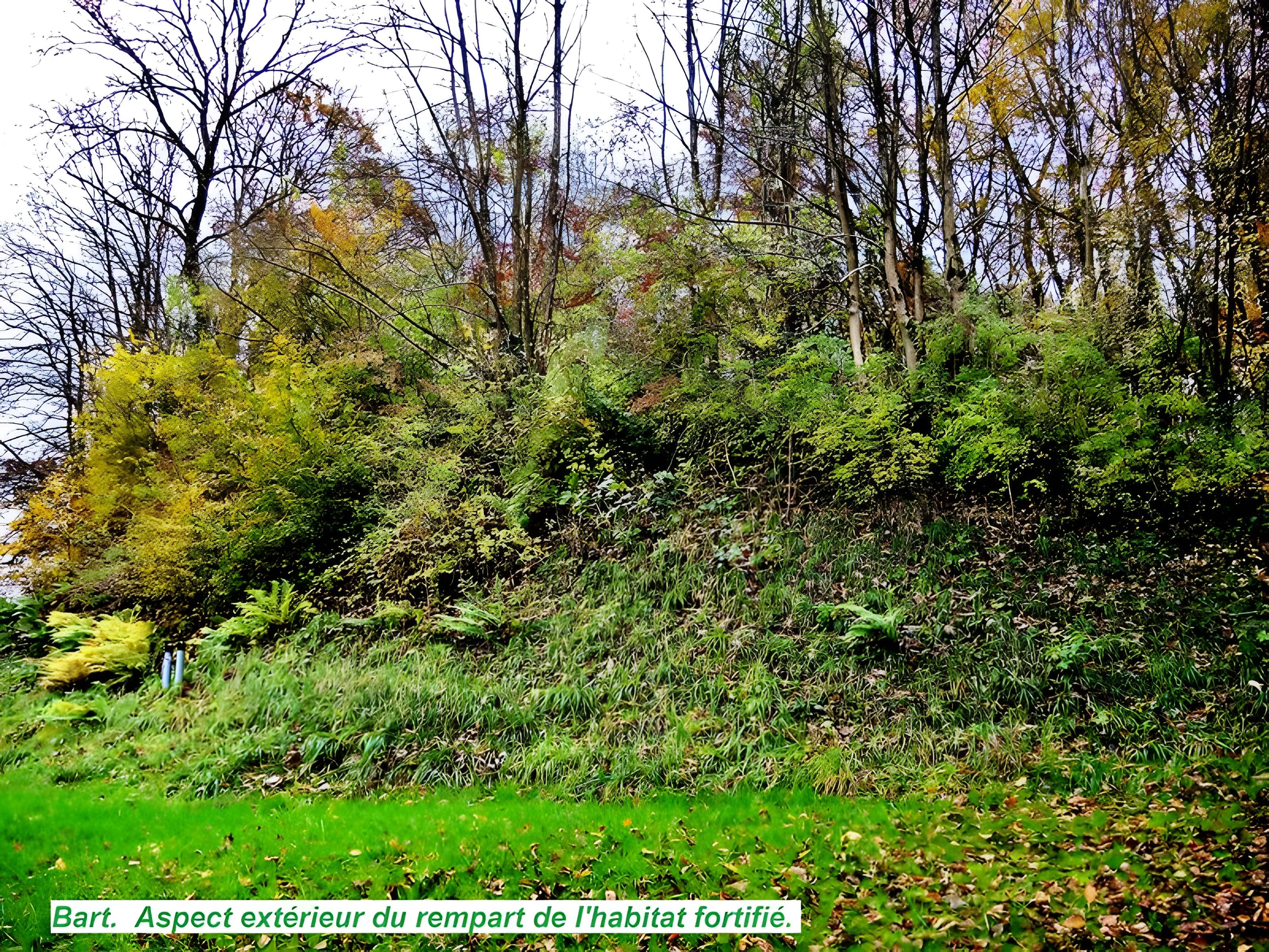Habitat fortifié de Bart 