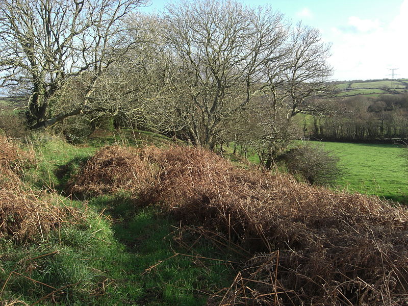 Hague-Dick à Beaumont-Hague