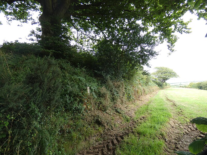 Hague-Dick à Beaumont-Hague