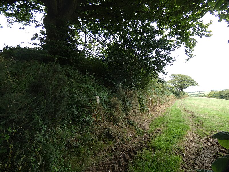 Hague-Dick à Beaumont-Hague