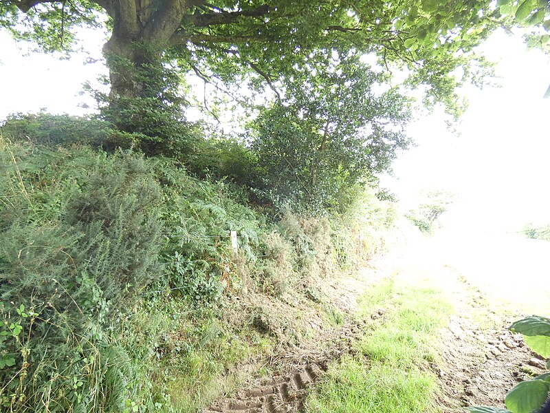 Hague-Dick à Beaumont-Hague