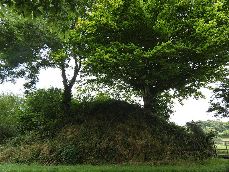 Hague-Dick à Beaumont-Hague