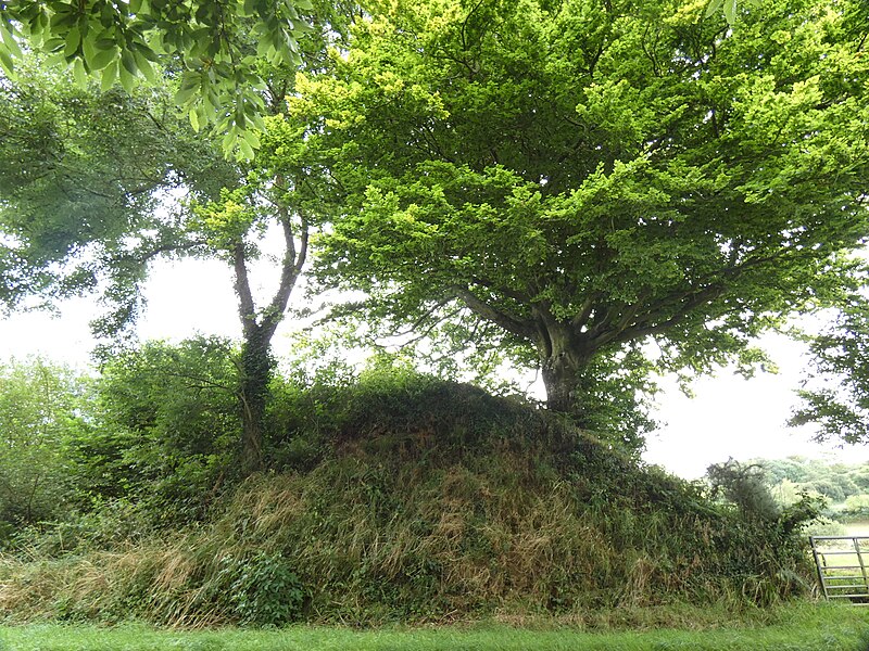 Hague-Dick à Beaumont-Hague