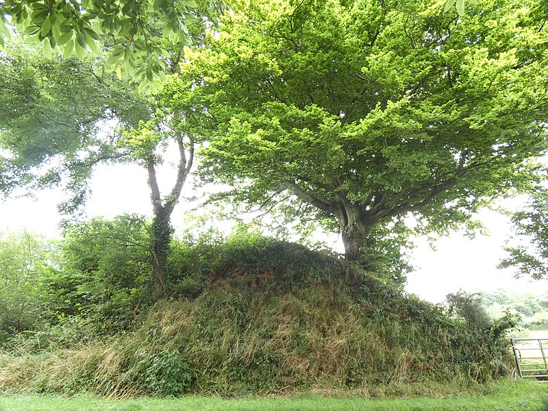 Hague-Dick à Beaumont-Hague