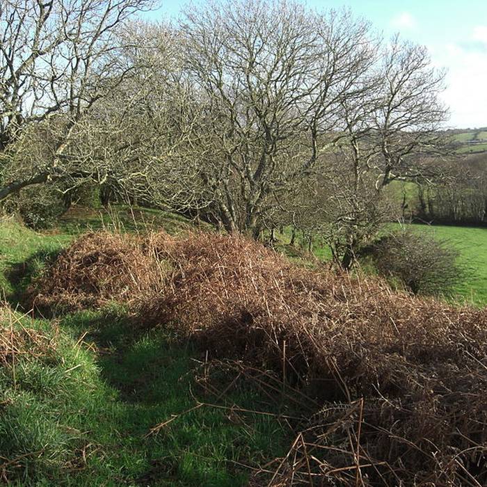 Photo de Hague-Dick à Beaumont-Hague