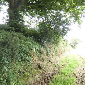 Hague-Dick à Beaumont-Hague